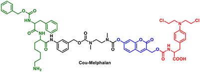 Peroxynitrite Activated Drug Conjugate Systems Based on a Coumarin Scaffold Toward the Application of Theranostics